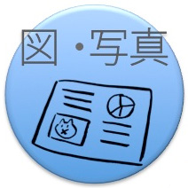プレゼンテーション：図・写真